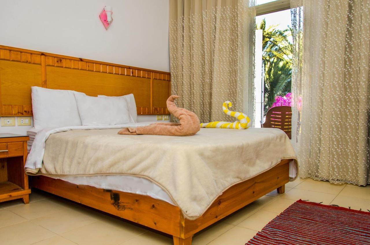 New Yalla Hotel 达哈布 外观 照片