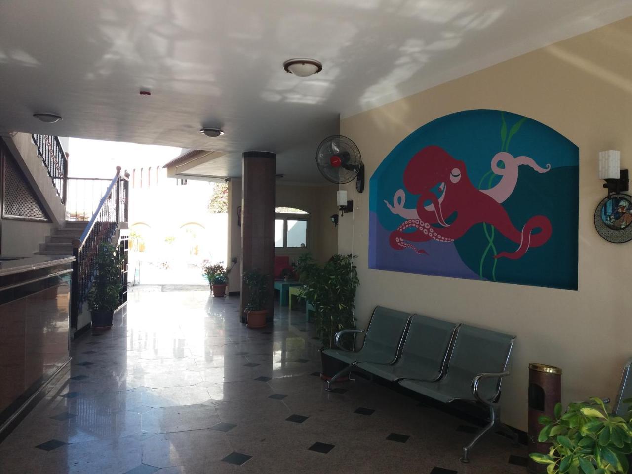 New Yalla Hotel 达哈布 外观 照片
